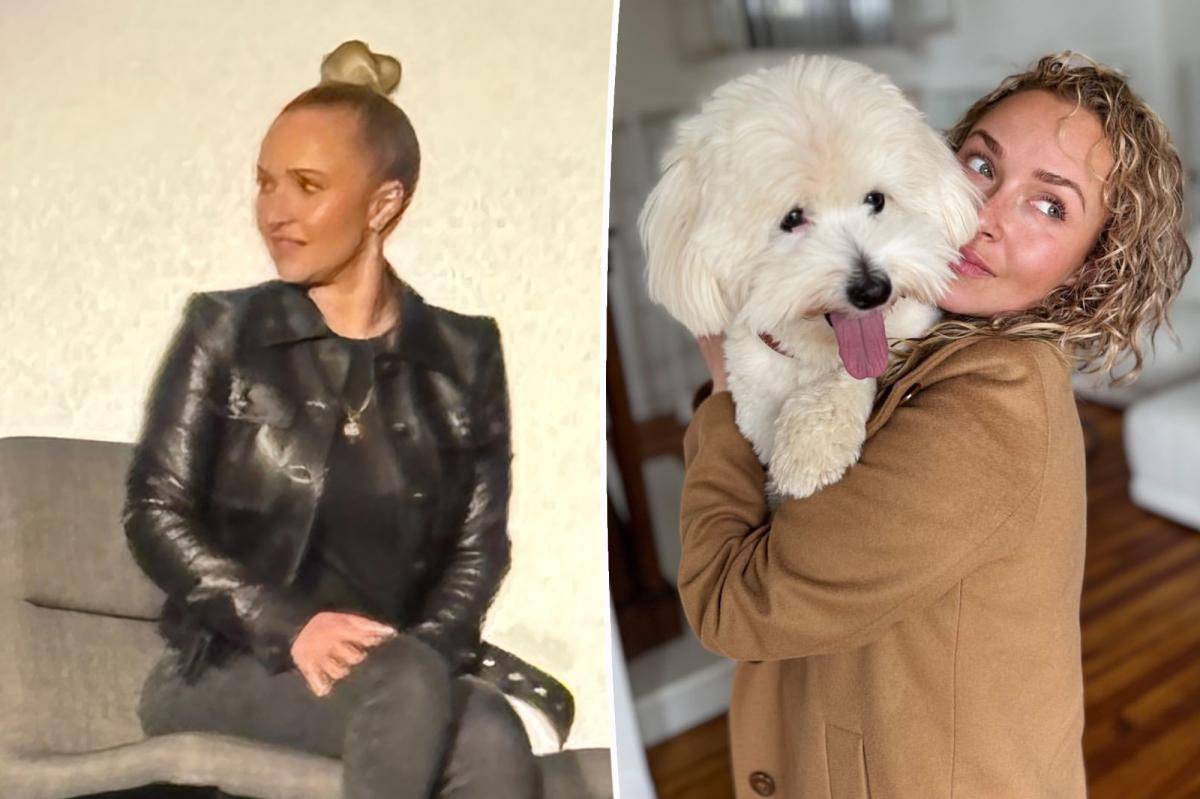 Hayden Panettiere's Heartbreaking Final Appearance Leaves Fans in Shock