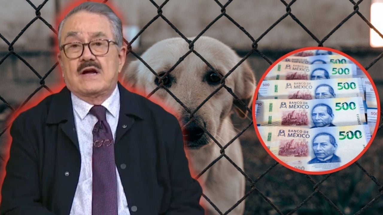 ¿Pedro Sola enfrentará consecuencias legales por sus polémicos comentarios?