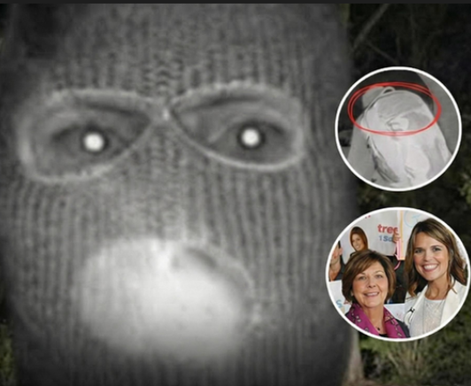 Key Detail Revealed by Body Language Expert on Masked Visitor Near Nancy Guthrie's Home Before Disappearance