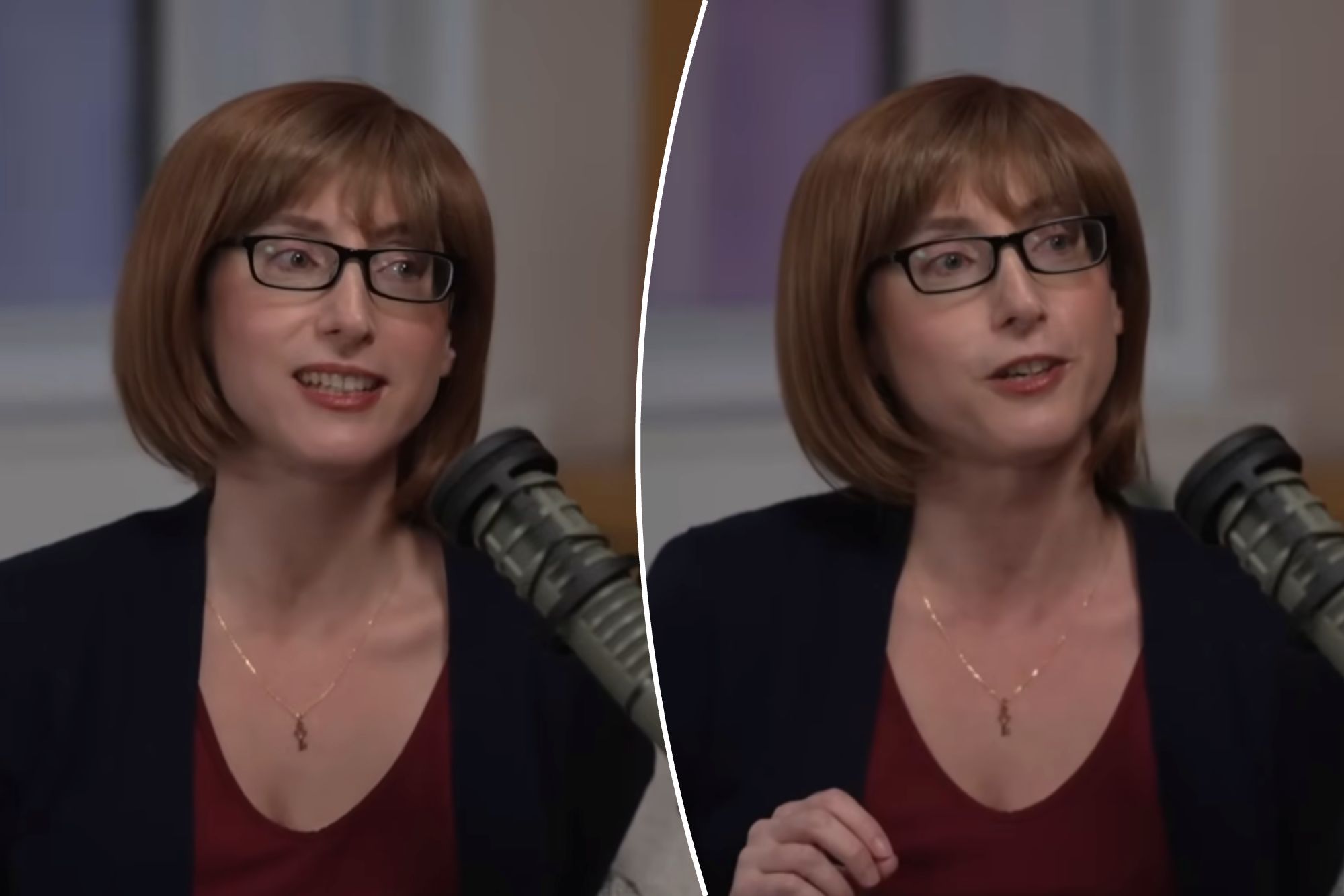 Author Frieda McFadden Unveils True Identity After 23 Years!