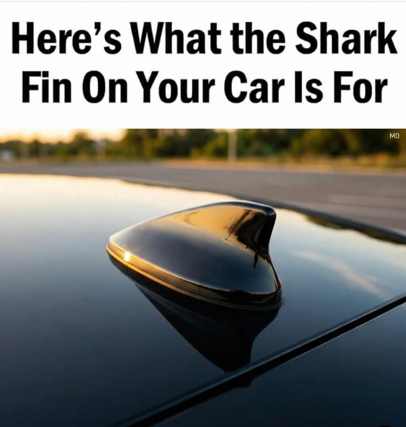 The Surprising Reason Shark Fin Antennas Have Taken Over Modern Cars