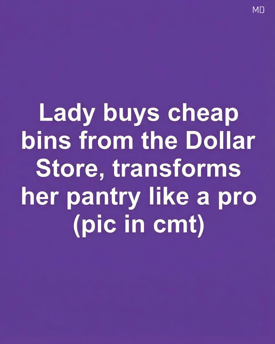 Organize Your Pantry on a Budget with Dollar Store Bin Hacks