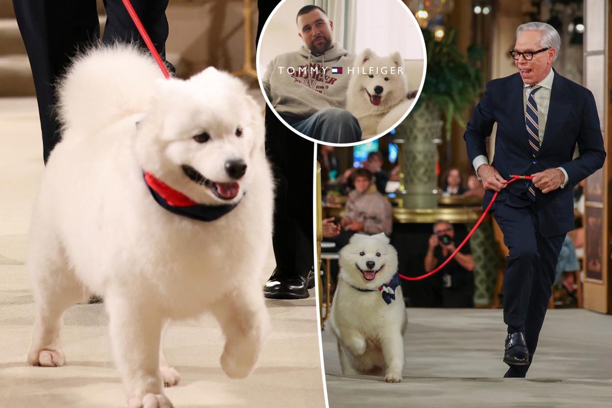 Did Taylor Swift and Travis Kelce's 'Dog' Steal the Show at Tommy Hilfiger?