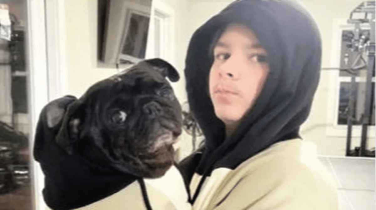 Dog Believed Euthanized Found Alive with Vet Employee Months Later