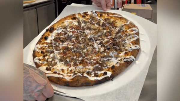 Frozen iguanas in Florida are being gathered and transformed into a trending pizza, as shown in a video.