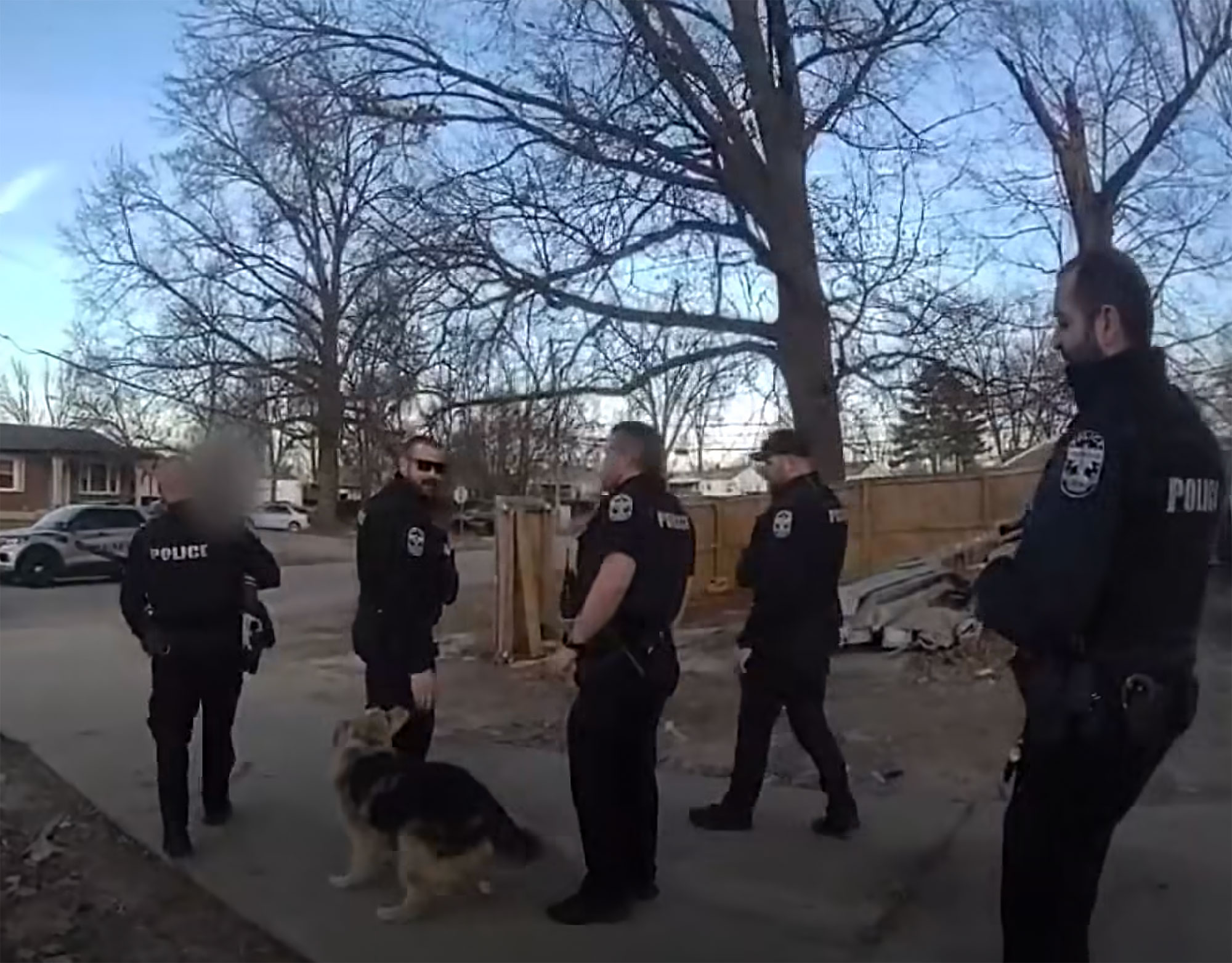 Lost Toddler Found Thanks to Heroic Dog in Kentucky Suburb