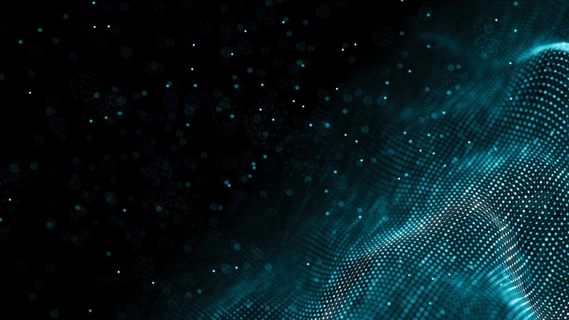 The Hint App Sparks a Symbolic Wellness Revolution