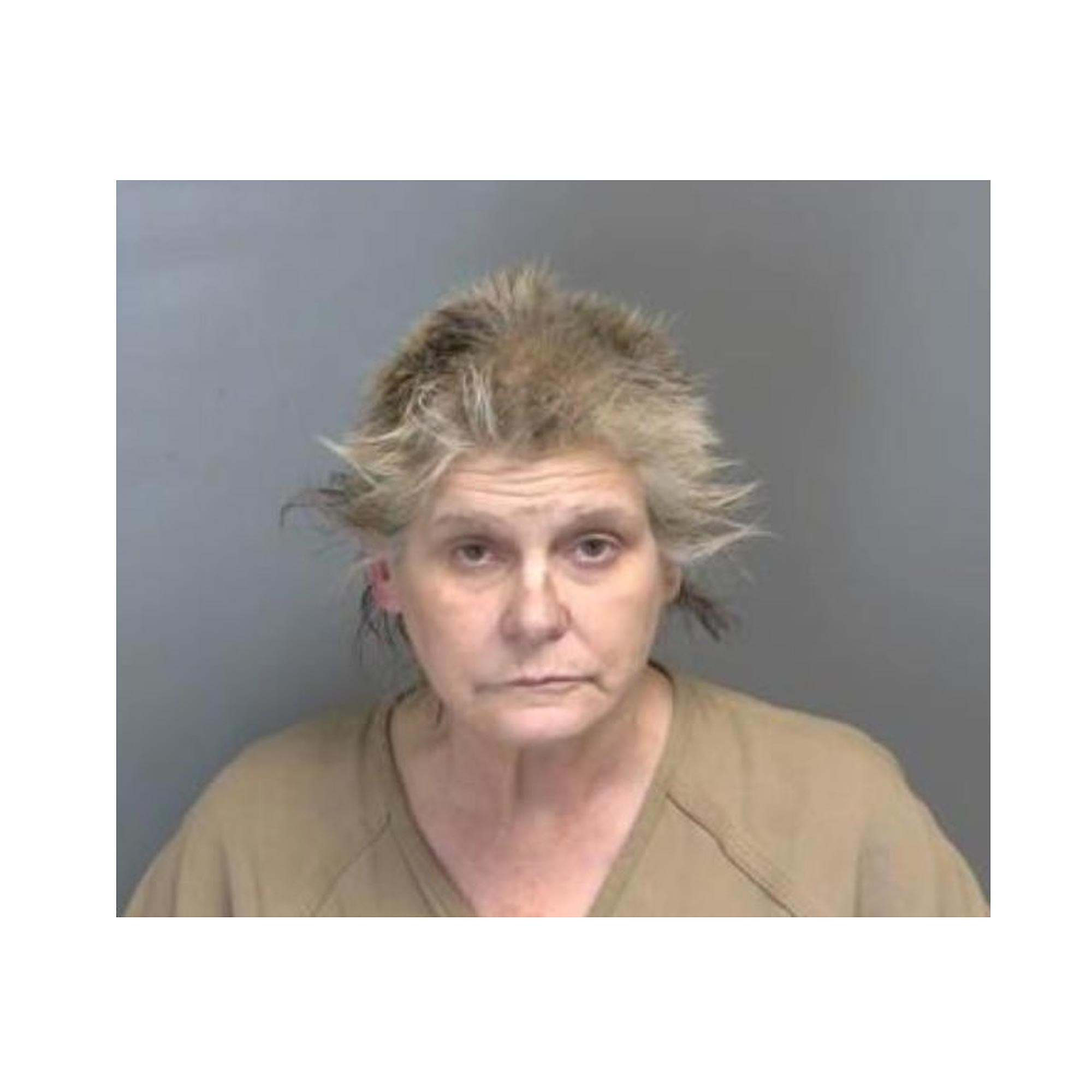 Judge Strips Woman of Her Dogs and Turtles Amid Drug Allegations