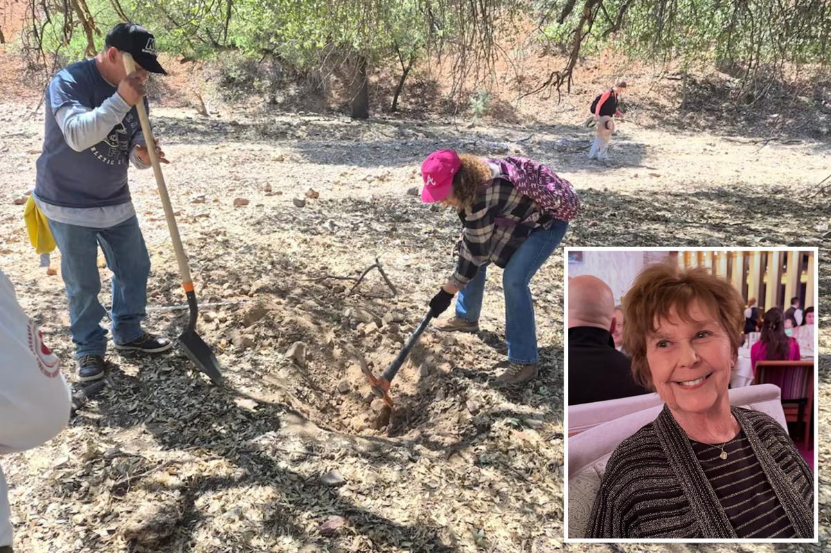 Anonymous Tip Sparks Frenzied Search for Missing Woman's Grave in Mexico