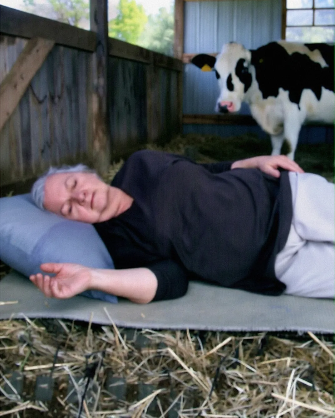 Forced to Move Into an Old Barn, What Happened Next Surprised Everyone.