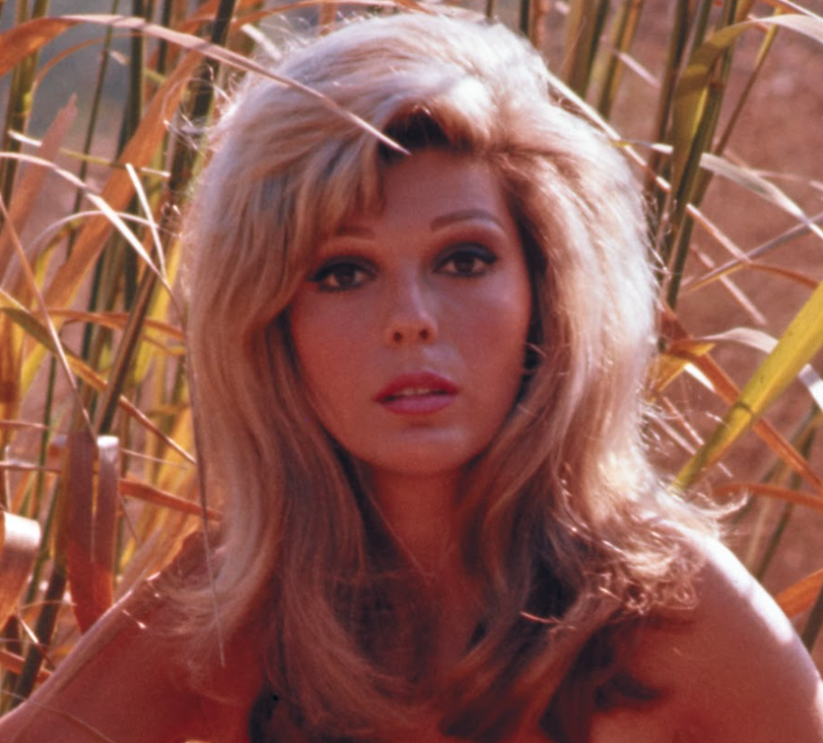 Nancy Sinatra, 85, Continues to Shine - Here's an Update on How She is Doing Today