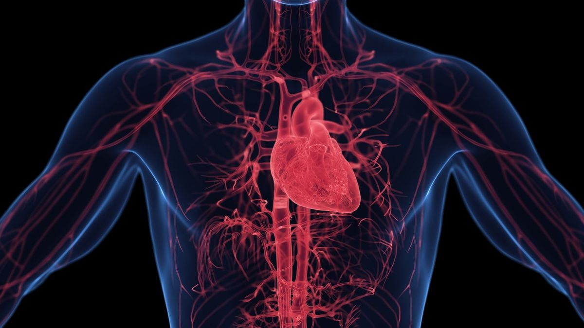 Smoking Harms Every Organ: Doctor Reveals the Global Health Threat Ignored by 1.2 Billion People