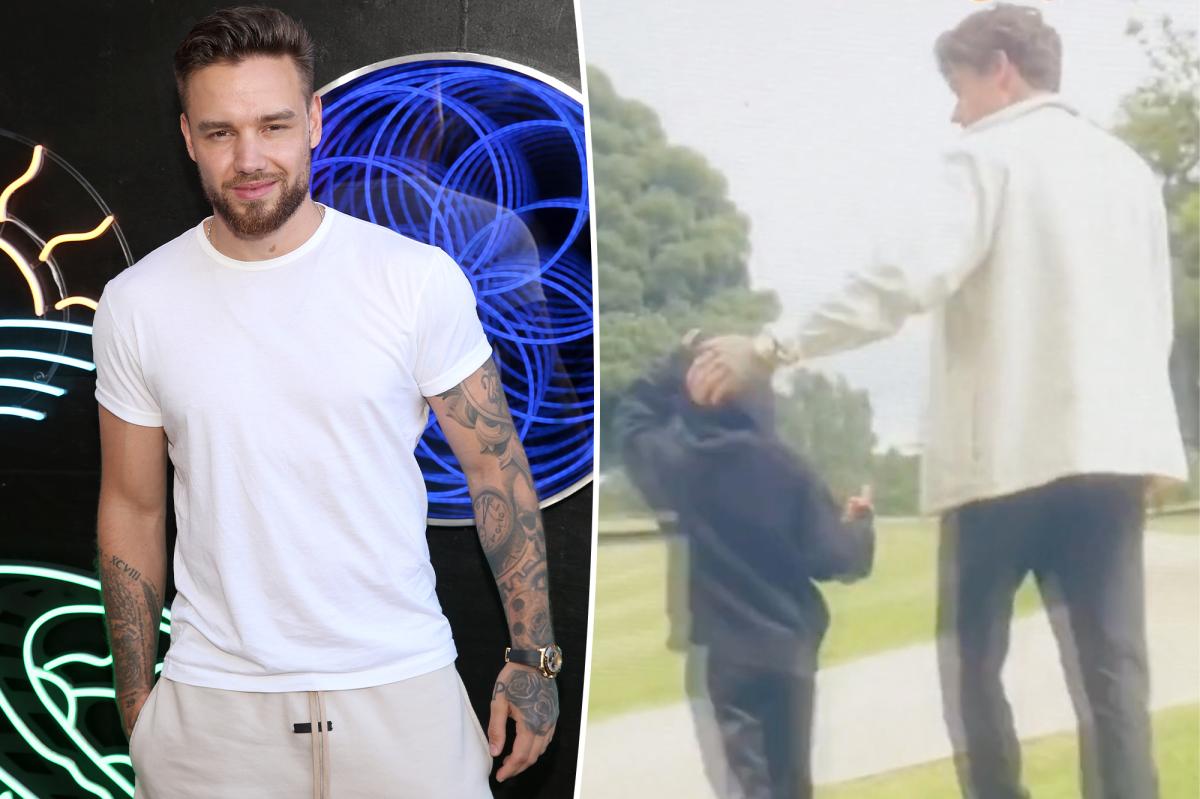 Liam Payne's Son Inherits $28M: The Heartbreaking Story Behind It