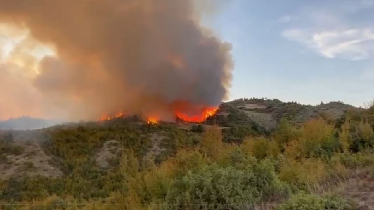 Peqin Fires Remain Out of Control Despite Intervention from the Air