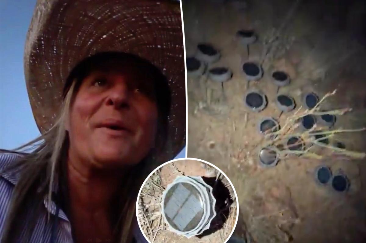 Mysterious Speakers on Mount Shasta Have People Talking