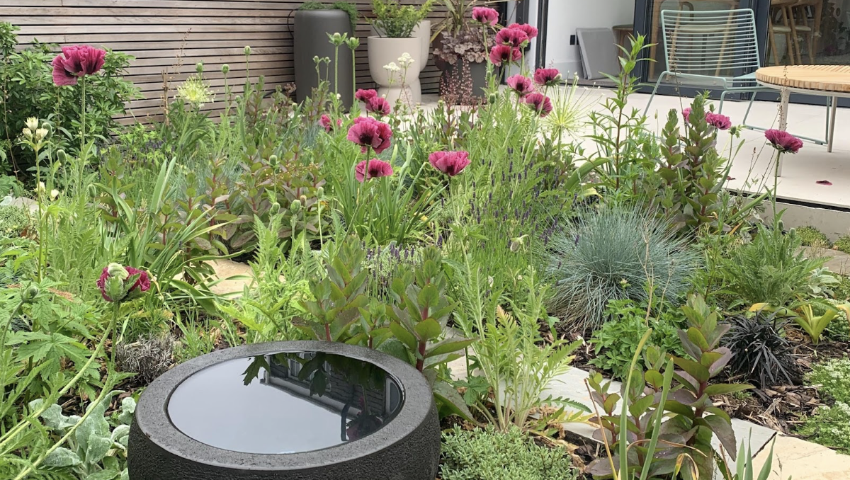 Mo Helmi's Urban Mastery: Transforming Concrete into Thriving Spaces