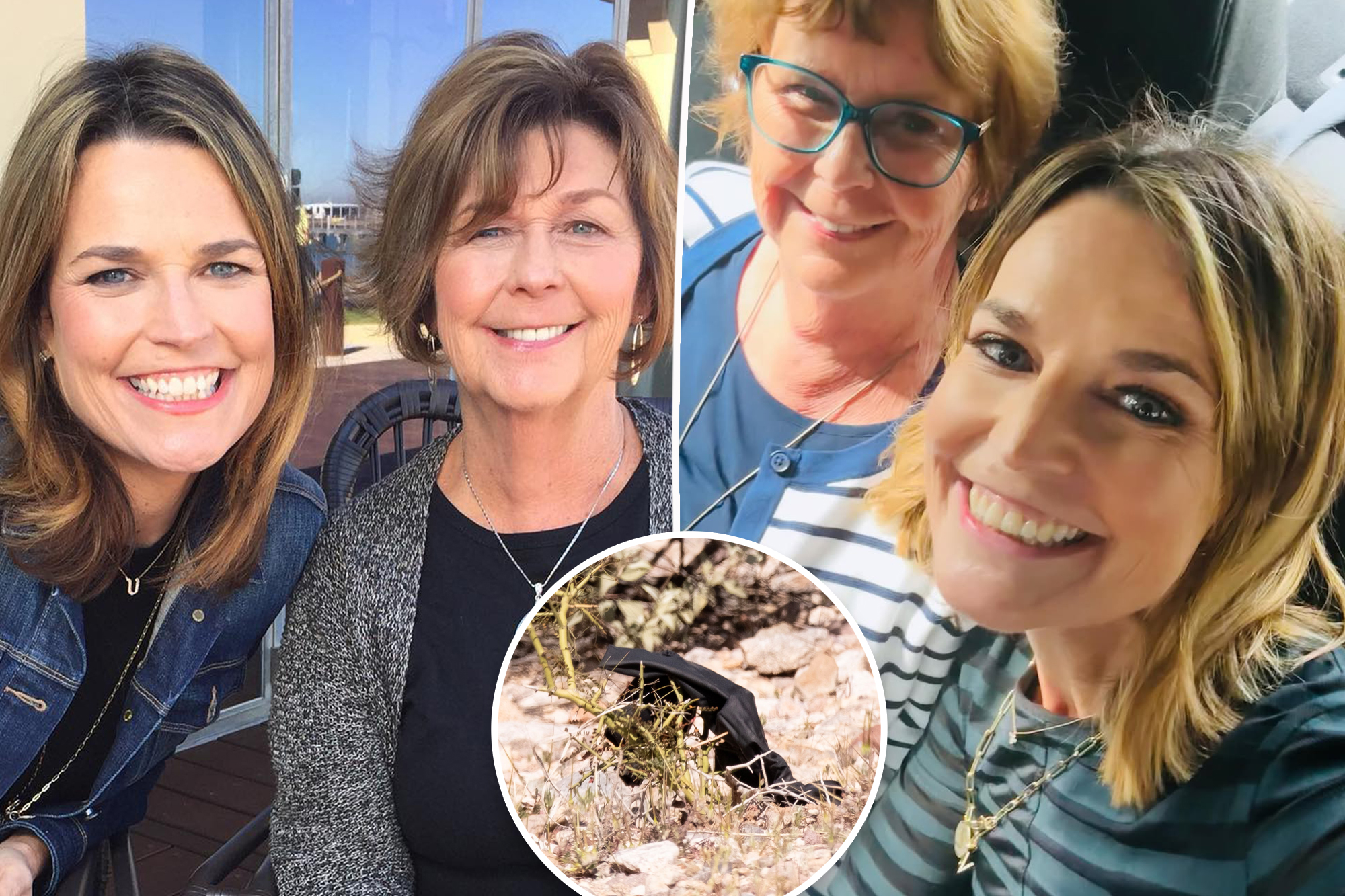 Nancy Guthrie Mystery: Glove Discovery Finally Explained