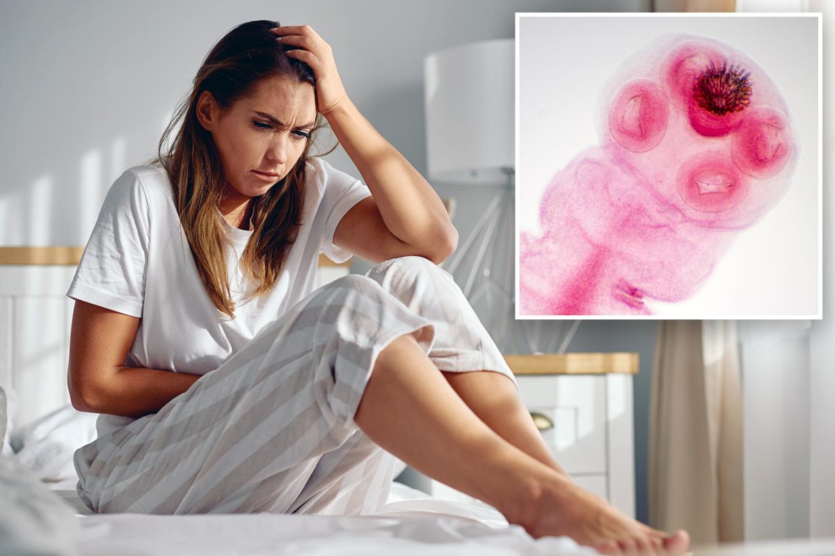 Tapeworm Drug Shows Promise as New Treatment for Endometriosis