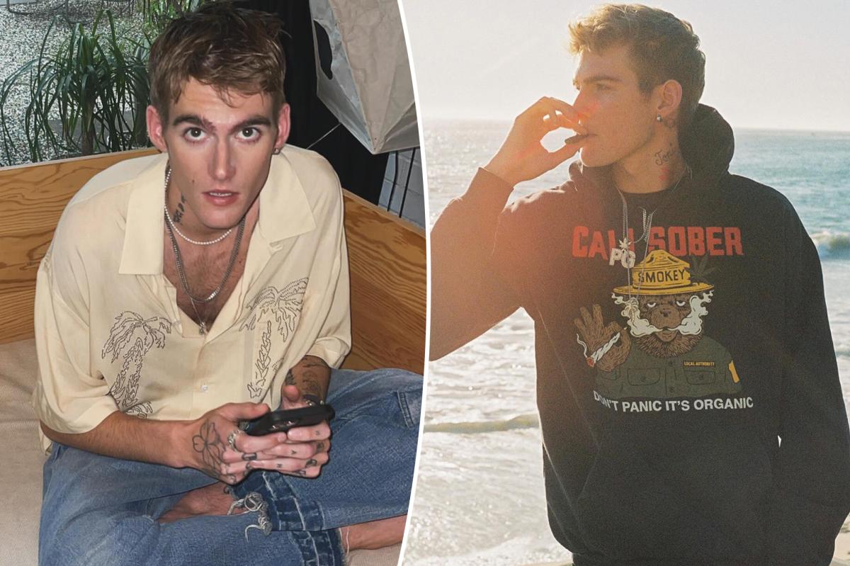 Presley Gerber's Tragic Final Days: What Led to His Heartbreaking End?