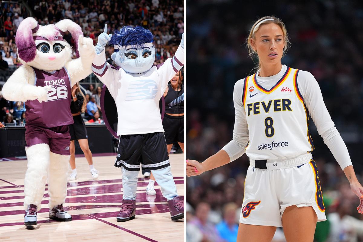 Toronto Tempo's Non-Binary Turtle Mascot Sparks Buzz Around Sophie Cunningham