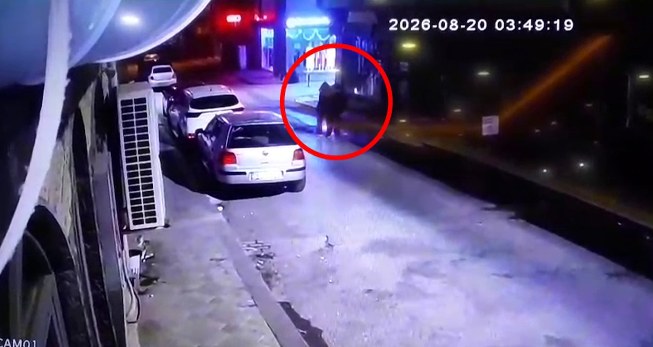 Darıca Sahilinde Bulunan Kardeşlerin Son Anları Herkesi Şok Etti