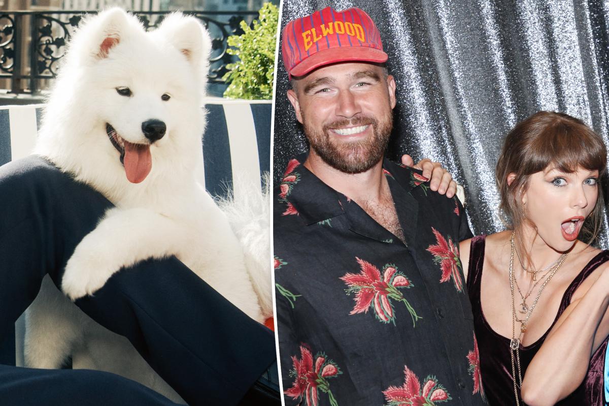 Why Taylor Swift and Travis Kelce's Dog Name Surprised Everyone