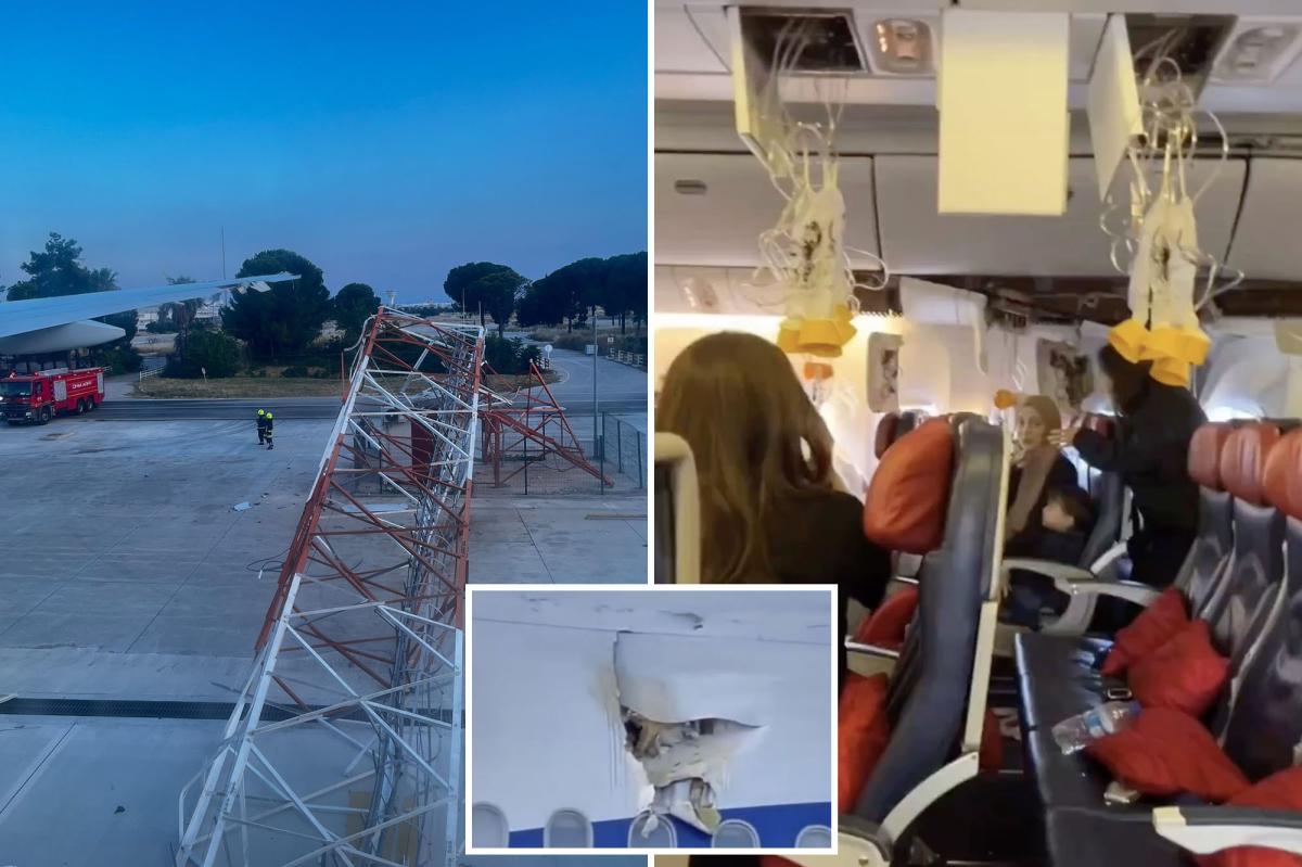 Chaos in the Sky: What Really Happened When a Plane Struck a Pole?