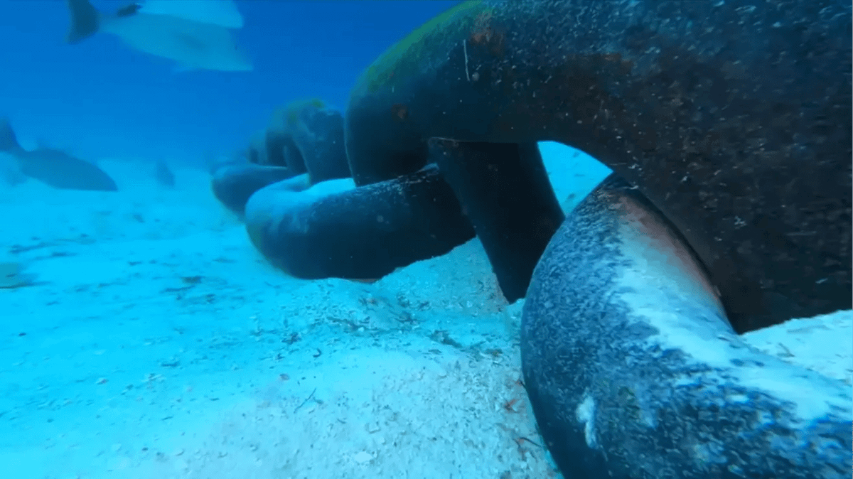 GoPro Dropped From Cruise Ship Captures Terrifying Nighttime Detail