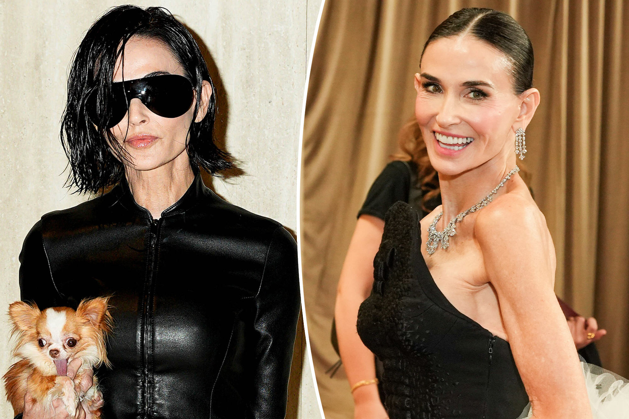 Demi Moore's Hair Transformation: What Really Happened?