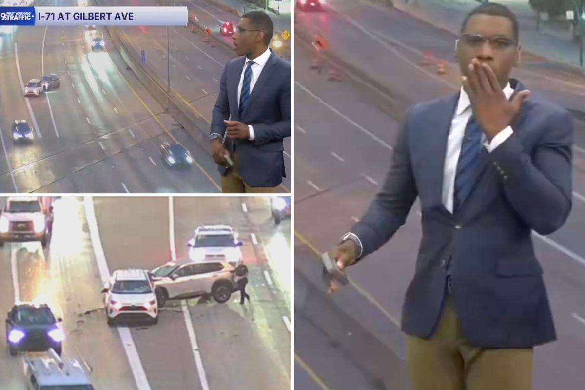 Traffic Anchor's Viral Reaction to Live On-Air Car Crash
