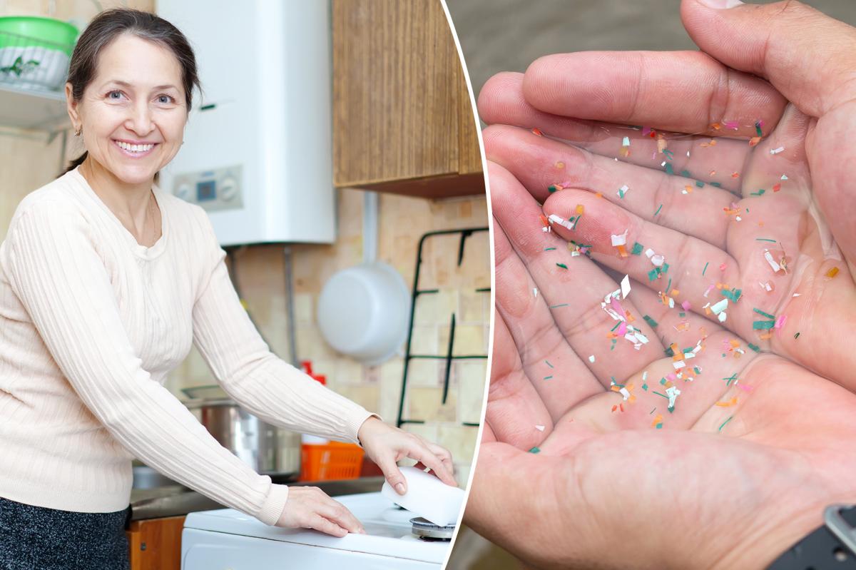 Magic Sponges Release Trillions of Microplastics Monthly, Study Reveals