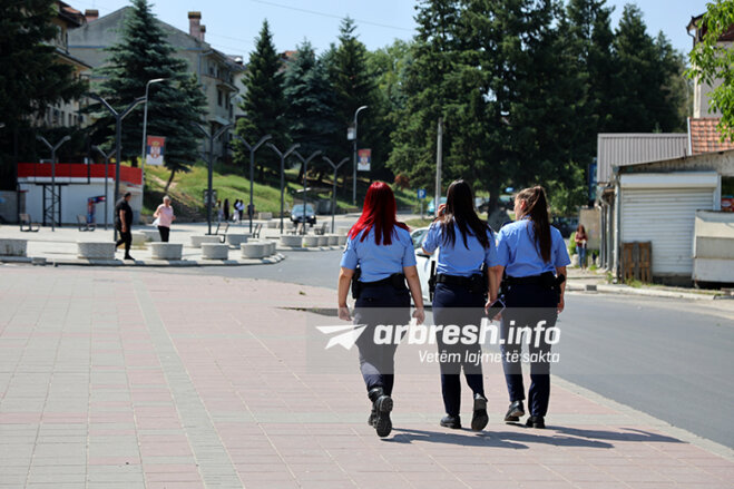 Person Detained in Leposaviq for Suspected Illegal Entry from Serbia