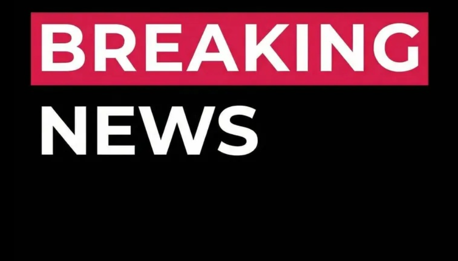 Europe joins Arctic cooperation as Denmark and U.S. disagree over Greenland security.