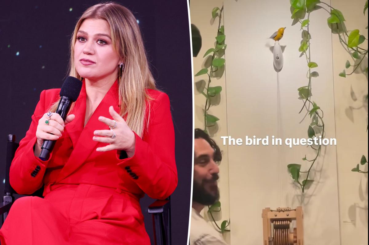 Kelly Clarkson disputes Brooklyn store’s claim, says bird was priced at $15,000
