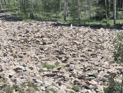 Put Your Eyesight to the Test with This Challenging Optical Illusion