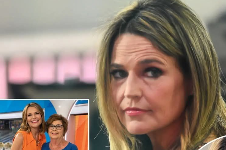 Fresh information from the police is revealed in a well-known missing person investigation.