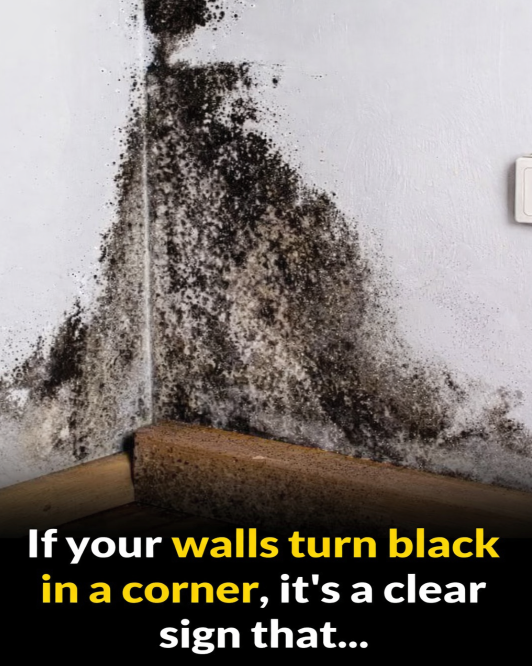 "Why Your Walls Are Getting Dark in the Corners—Easy Fixes!"