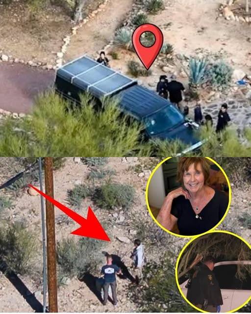 Elderly Gardener Awakens with Insights on Nancy Case