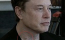 Elon Musk's mysterious neck mark stirs up emotions online.